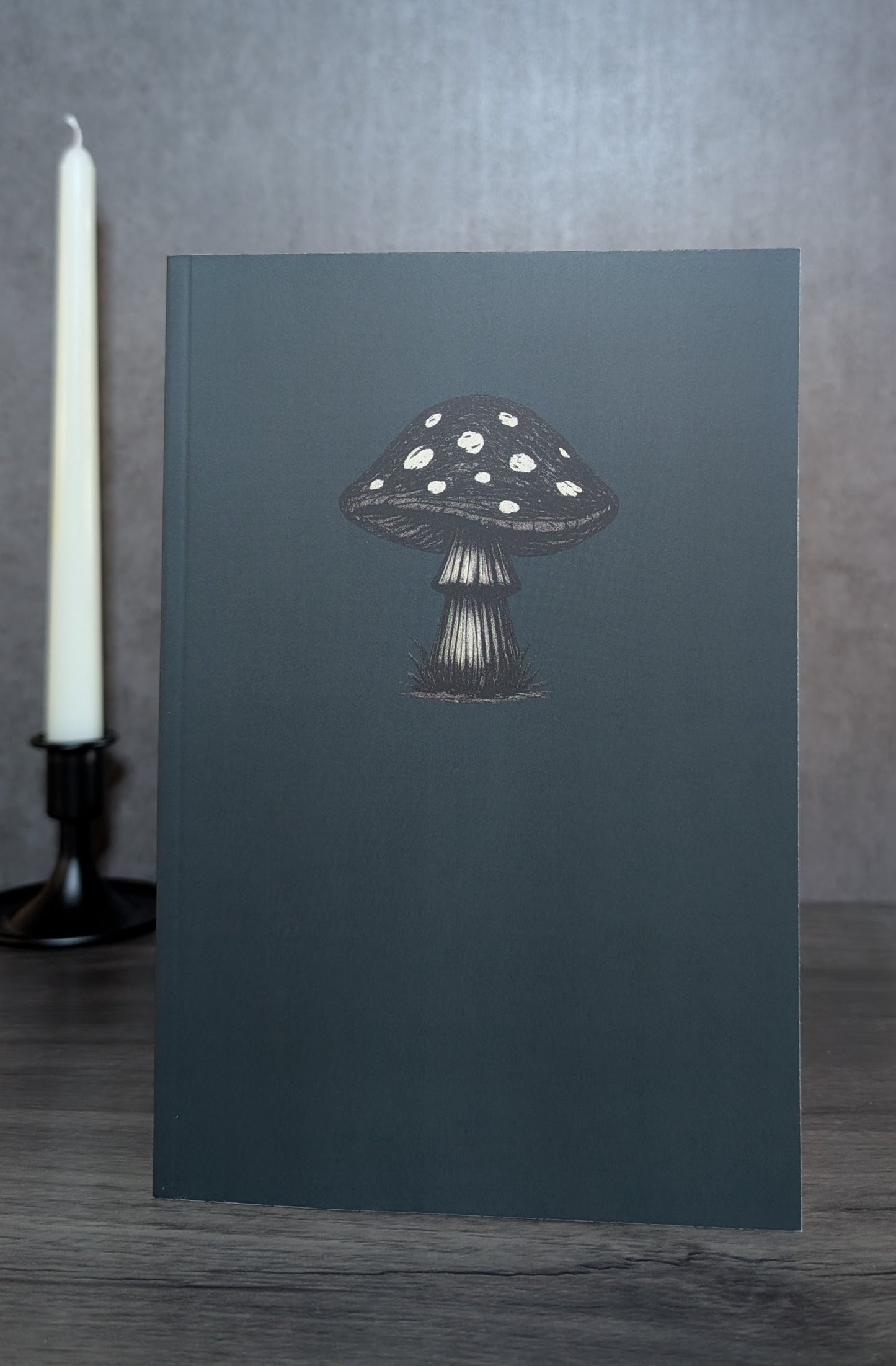 Lunation Journal