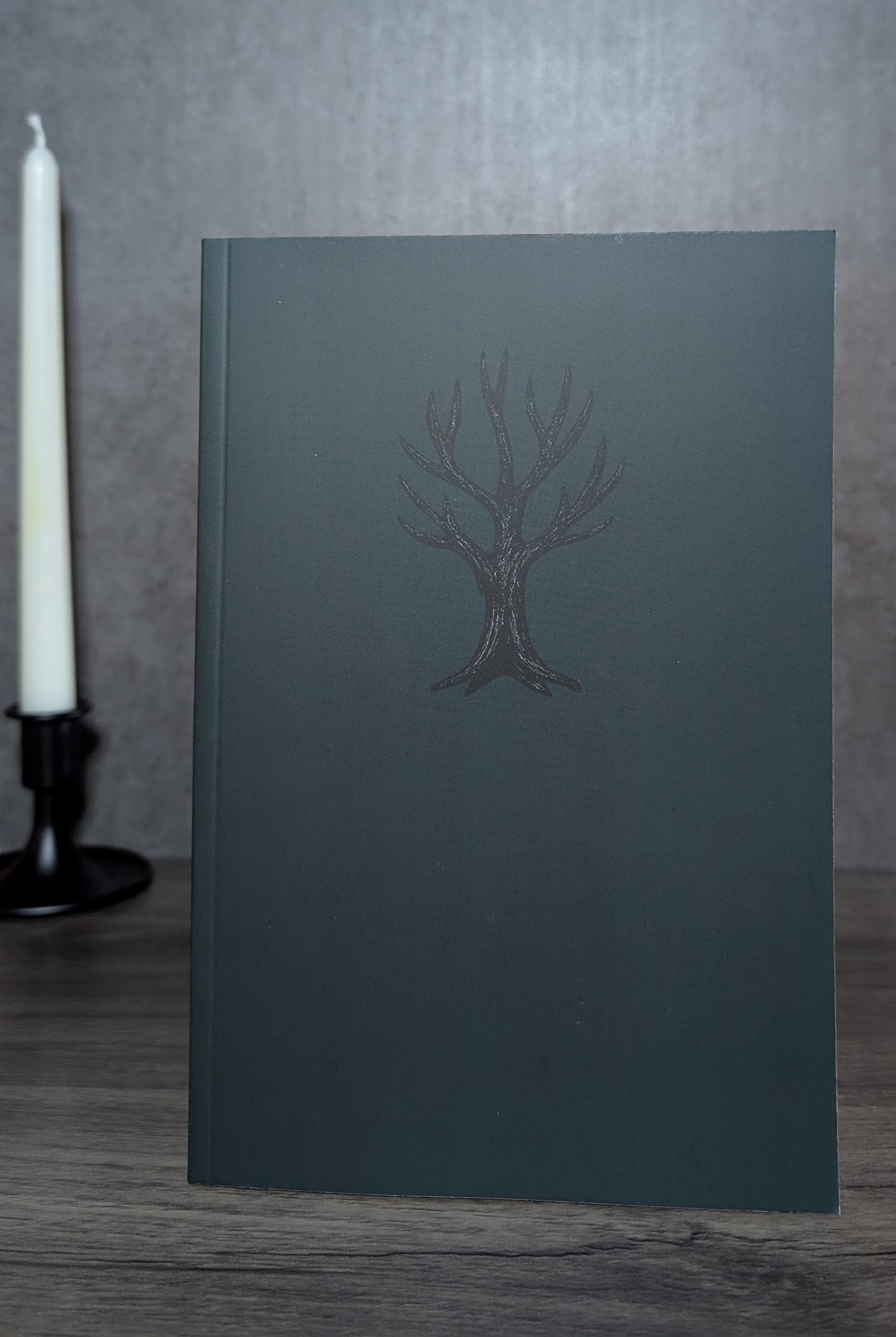 Lunation Journal